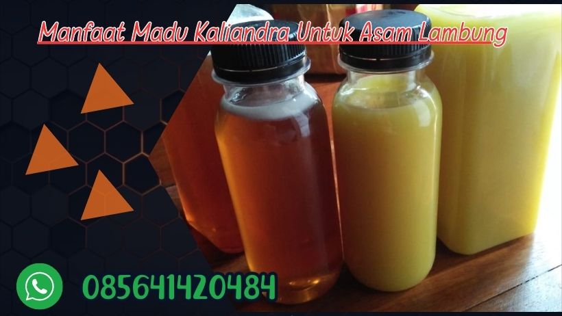 manfaat madu kaliandra untuk asam lambung